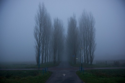 http://www.holeinthedyke.com/images/hitd-image/fog2.jpg