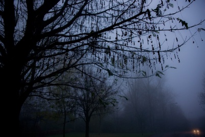 http://www.holeinthedyke.com/images/hitd-image/fog5.jpg