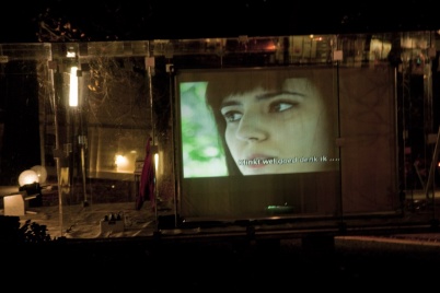 http://www.holeinthedyke.com/images/hitd-image/installation3.jpg