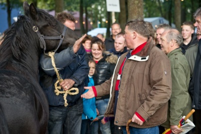 http://www.holeinthedyke.com/images/hitd-image/markt2.jpg