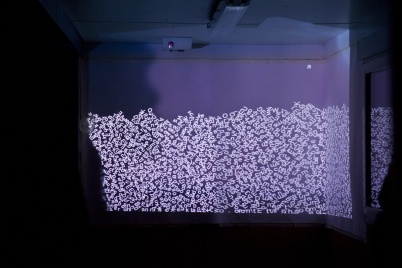 http://www.holeinthedyke.com/images/hitd-image/nz-8.jpg