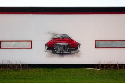 /images/hitd-image/red-cad.jpg