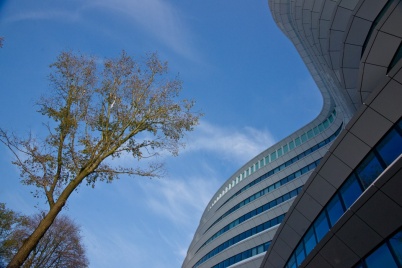 http://www.holeinthedyke.com/images/hitd-image/sudy-finance3.jpg