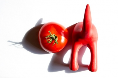 http://www.holeinthedyke.com/images/hitd-image/tomatocat.jpg