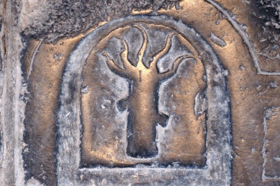 http://www.holeinthedyke.com/images/hitd-image/tree2.jpg