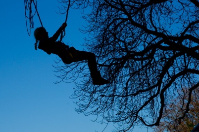 http://www.holeinthedyke.com/images/hitd-image/zdlrdrmrkt1.jpg