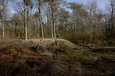 http://www.holeinthedyke.com/images/hitd-image/DSC00809-1050.jpg