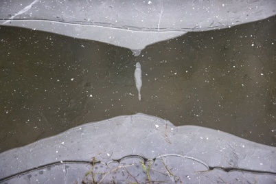 http://www.holeinthedyke.com/images/hitd-image/DSC00919-1050.jpg