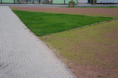 http://www.holeinthedyke.com/images/hitd-image/DSC01566.jpg