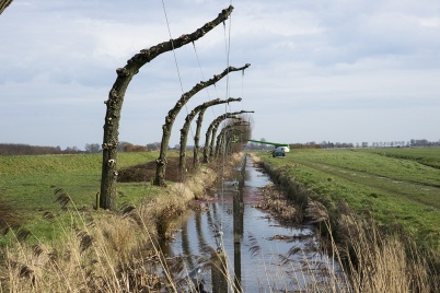 http://www.holeinthedyke.com/images/hitd-image/DSC02426-1050.jpg