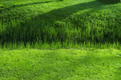 http://www.holeinthedyke.com/images/hitd-image/DSC02686-1050.jpg