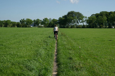 http://www.holeinthedyke.com/images/hitd-image/DSC03806-1050.jpg