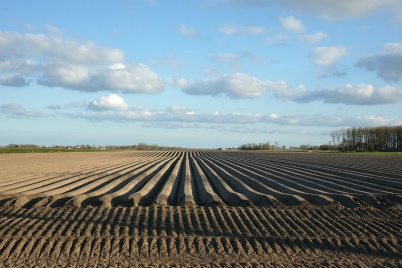 http://www.holeinthedyke.com/images/hitd-image/DSC05634-1050.jpg