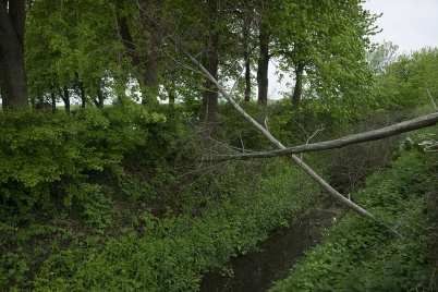 http://www.holeinthedyke.com/images/hitd-image/DSC05774-1050.jpg