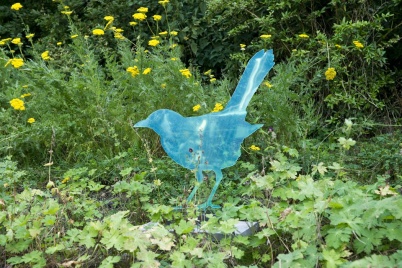 http://www.holeinthedyke.com/images/hitd-image/bird1.jpg