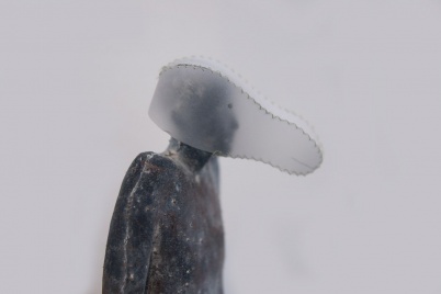 http://www.holeinthedyke.com/images/hitd-image/buste.jpg