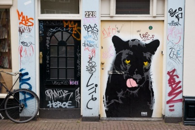 http://www.holeinthedyke.com/images/hitd-image/cat.jpg