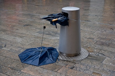 http://www.holeinthedyke.com/images/hitd-image/dutch-delight.jpg