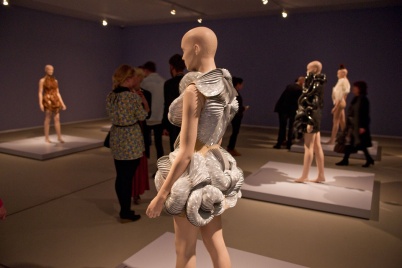 http://www.holeinthedyke.com/images/hitd-image/iris-v6.jpg