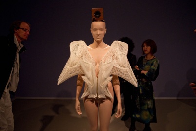 http://www.holeinthedyke.com/images/hitd-image/iris-v8.jpg