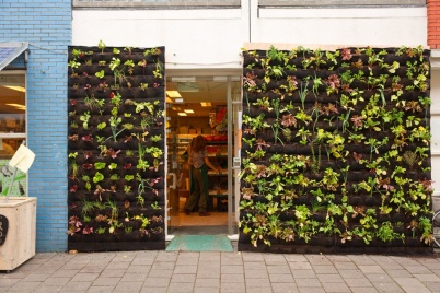 http://www.holeinthedyke.com/images/hitd-image/nieuwe-weg2.jpg