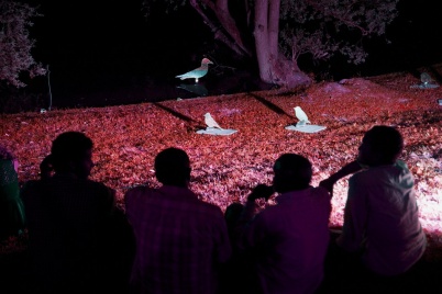 http://www.holeinthedyke.com/images/hitd-image/nz-4.jpg