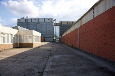 http://www.holeinthedyke.com/images/hitd-image/offringa.jpg