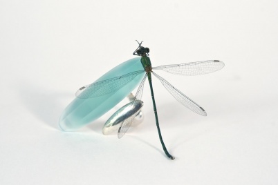 http://www.holeinthedyke.com/images/hitd-image/ring-libelle-1050.jpg