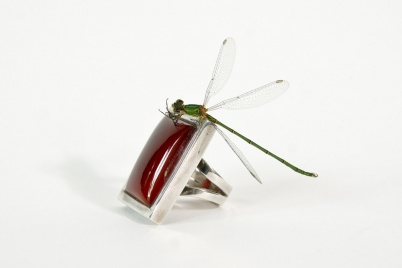 http://www.holeinthedyke.com/images/hitd-image/ring2-libelle.jpg