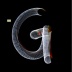 http://www.holeinthedyke.com/images/hitd-news/alpha-g.jpg