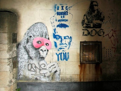 http://www.holeinthedyke.com/images/hitd-news/banksy_gorilla.jpg