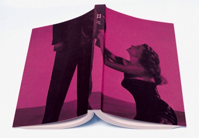 http://www.holeinthedyke.com/images/hitd-news/book5.jpg
