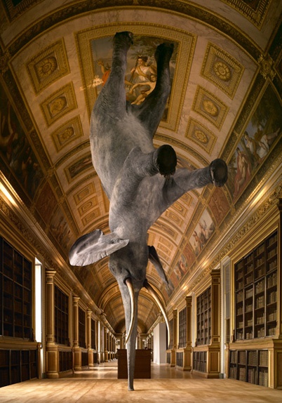 http://www.holeinthedyke.com/images/hitd-news/elephant.jpg
