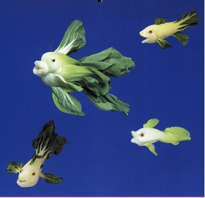 http://www.holeinthedyke.com/images/hitd-news/fishes.jpg