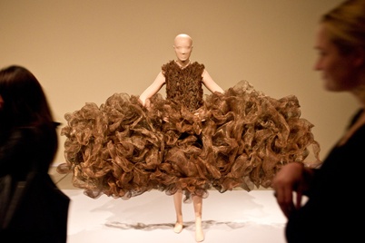 http://www.holeinthedyke.com/images/hitd-news/iris-van402.jpg