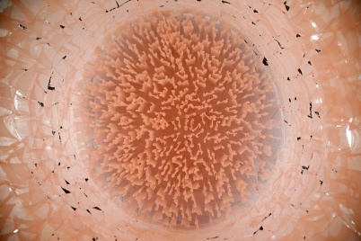 http://www.holeinthedyke.com/images/hitd-news/kruythuis_installation_1-402x268.jpg