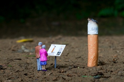 http://www.holeinthedyke.com/images/hitd-news/miniature_oldenburg.jpg