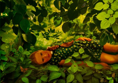http://www.holeinthedyke.com/images/hitd-news/ruud3-402.jpg